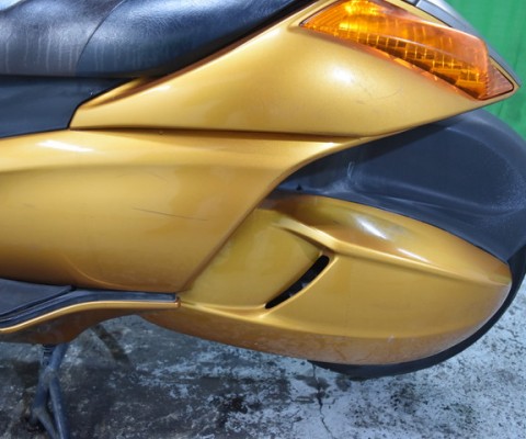 GEMMA250